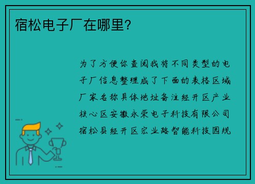 宿松电子厂在哪里？